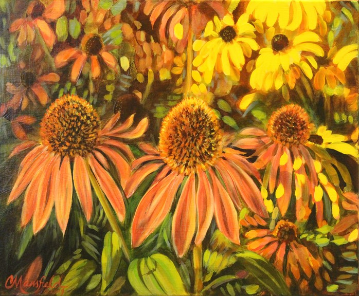 Black Eyed Susans