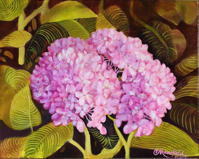 Hydrangea