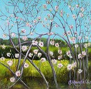 Viburnum